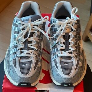 Nike Men’s P-6000